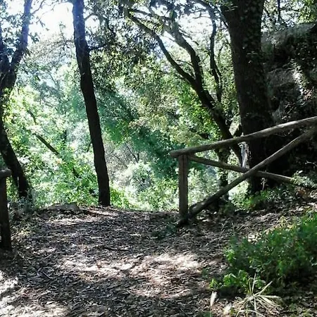 Happy Days ベッド・アンド・ブレックファスト Giove