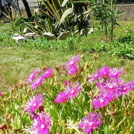 Happy Days 4*