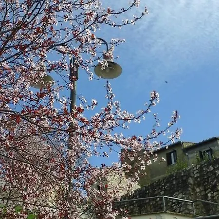 Happy Days 4* Giove