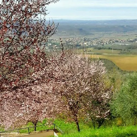 ベッド・アンド・ブレックファスト Happy Days Giove