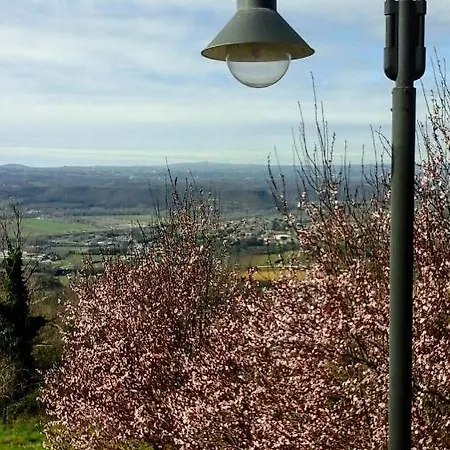 Happy Days ベッド・アンド・ブレックファスト