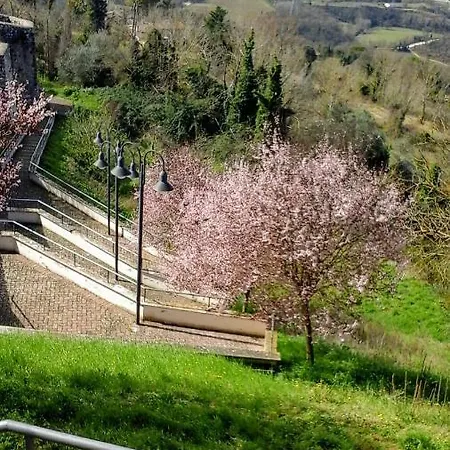 ベッド・アンド・ブレックファスト Happy Days 4*