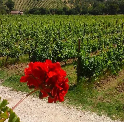 Happy Days Alojamento de Acomodação e Pequeno-almoço