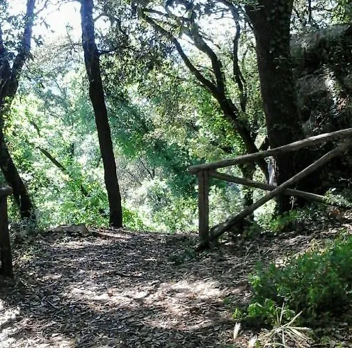 Happy Days Alojamento de Acomodação e Pequeno-almoço Giove