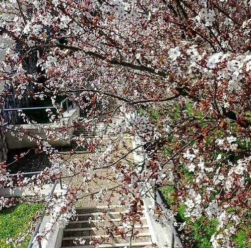 فندق مبيت وإفطار Happy Days Giove