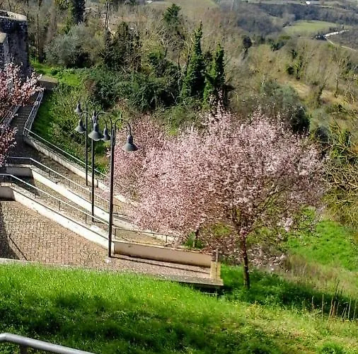 Alojamento de Acomodação e Pequeno-almoço Happy Days 4*