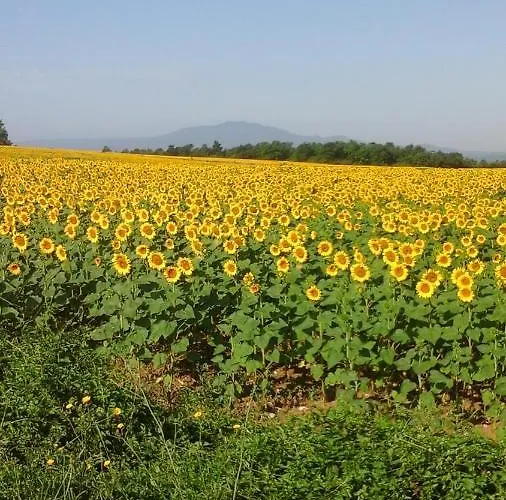 Happy Days Frühstückspension 4*